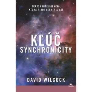David Wilcock - Kľúč synchronicity