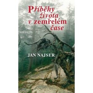 Jan Najser - Příběhy života v zemřelém čase