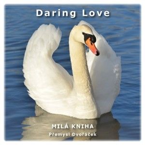 Přemysl Dvořáček - Daring Love