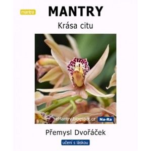 Přemysl Dvořáček - MANTRY Krása citu