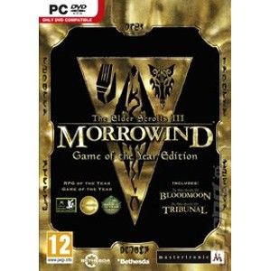 The Elder Scrolls III: Morrowind Game of the Year Edition Steam (PC) DIGITAL