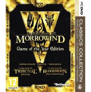 The Elder Scrolls III: Morrowind Game of the Year