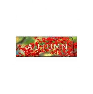 Autumn (PC/MAC/LX) DIGITAL