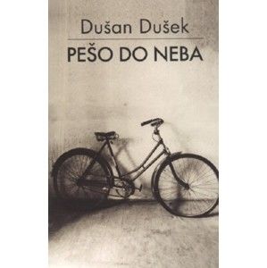 Dušan Dušek - Pešo do neba