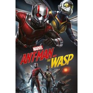 Plagát (069b) Ant-Man and The Wasp - Dynamic