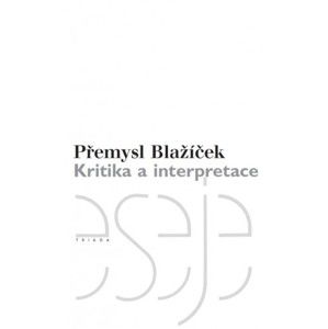 Přemysl Blažíček - Kritika a interpretace