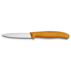 Victorinox nůž na zeleninu 6.7606.L119B blistr