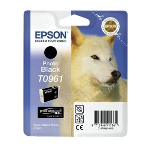 Epson C13T09614010 - inkoust Epson foto černý ultra chrome - T0961