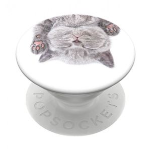 Popsockets Cat Nap (gen2) standard