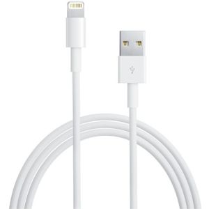 Apple kabel Lightning na USB 1m bílý [MD818ZM/A]